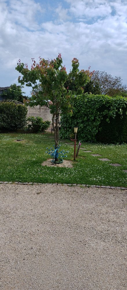 Aire camping-car  Thnezay (79390) - Photo 2